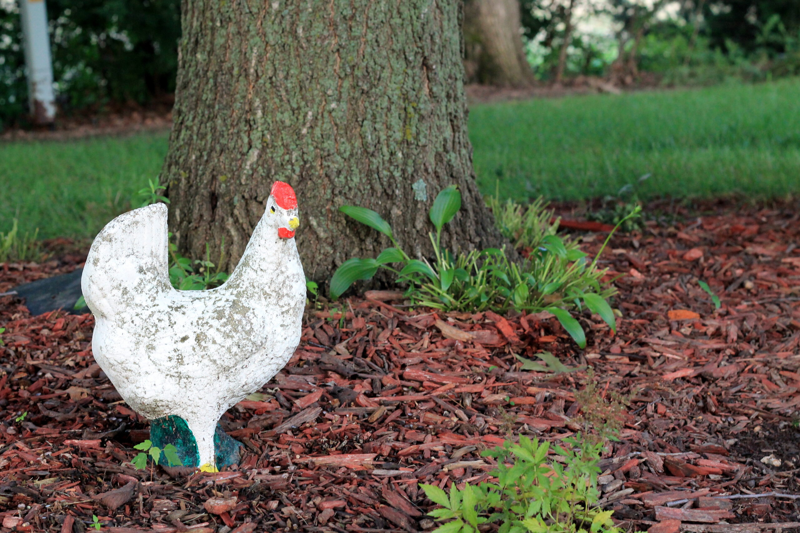 The last box unpacked…